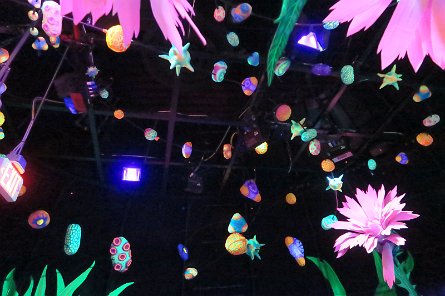 20241115_133438 null