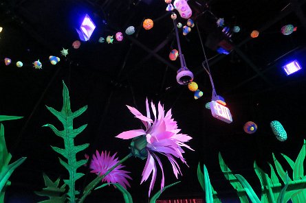 20241115_133440 null