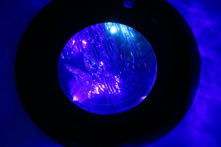 20241115_130447 null