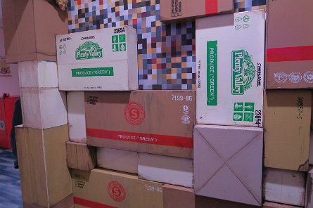 20241115_112544 null