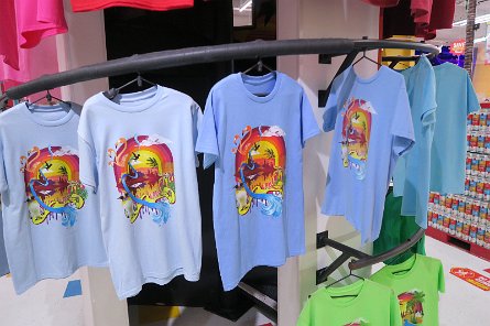 20241115_104822 null