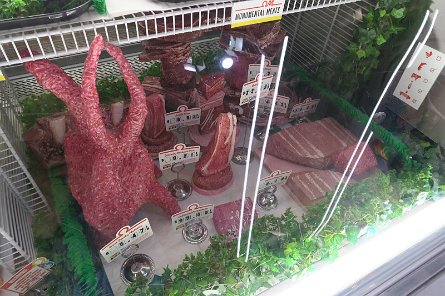 20241115_104833 null