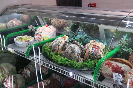 20241115_104900 null