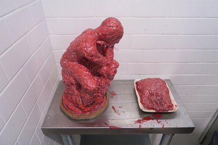 20241115_124641 null