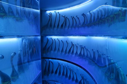 20241115_111217 null