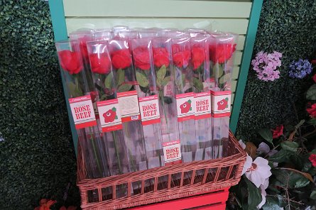 20241115_101334 null