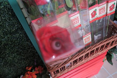 20241115_101340 null