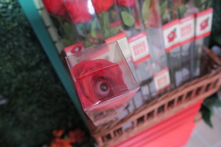 20241115_101342 null