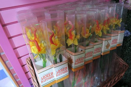 20241115_101348 null