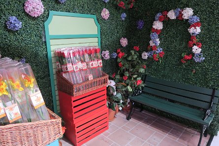 20241115_101352 null