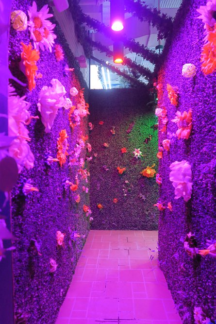 20241115_121123 null