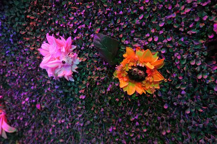 20241115_144053 null