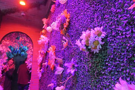 20241115_144055 null