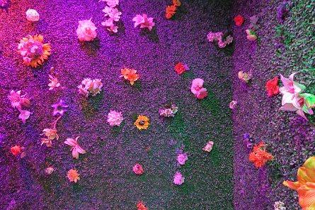 20241115_144101 null