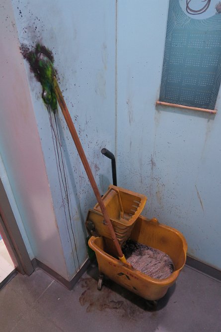 20241115_104925 null