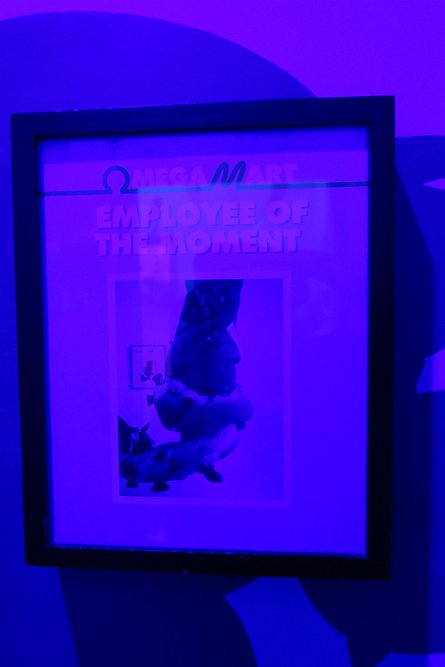 20241115_105100 null