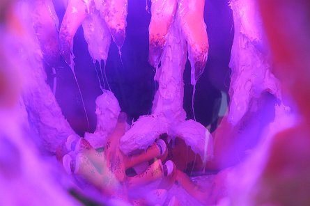 20241115_101245 null