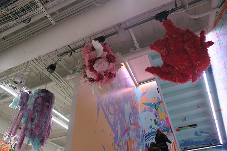 20241115_101521 null