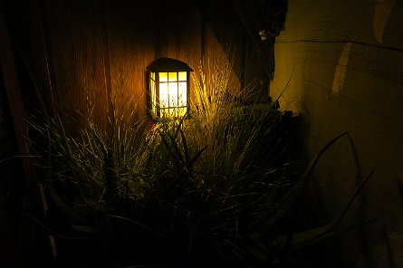 20241115_110352 null