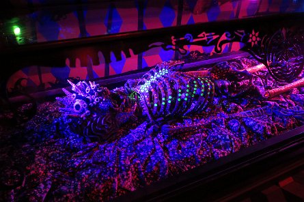 20241115_112225 null