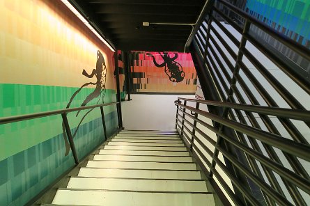 20241115_125132 null