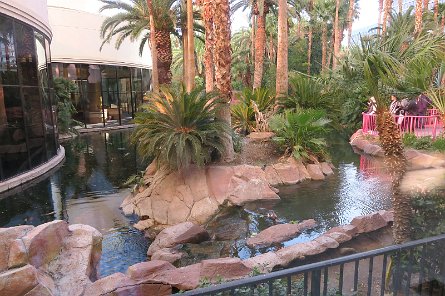 20241115_090754 null