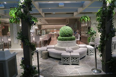 20241116_092313 null