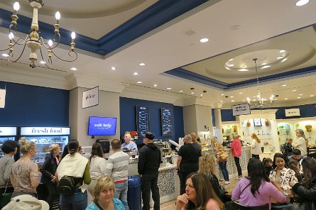 20241116_092418 null