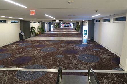 20241114_193213 null