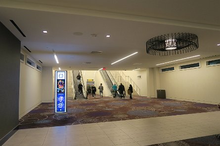 20241116_185004 null