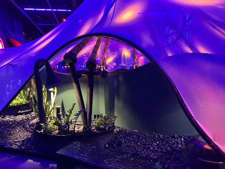 20251017_150544_iPhone null