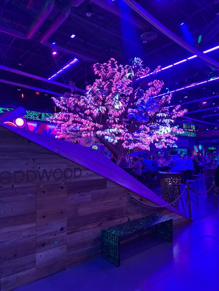 20251017_150643_iPhone null