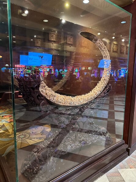 20251019_081840_iPhone null