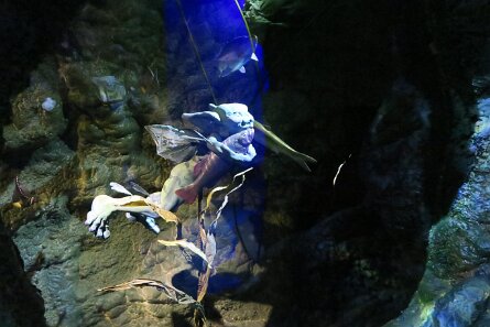 20230903_101314 null