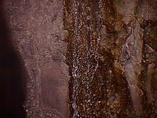 19960615_114641 null