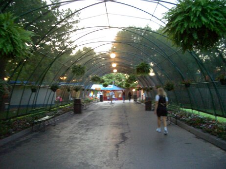 20040704_203943 null