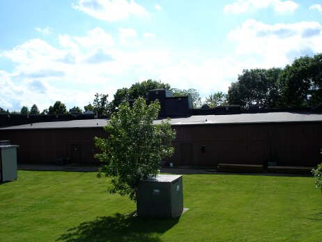 20050605_170813 null