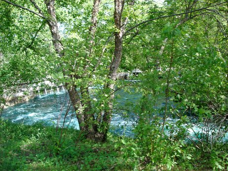 20050605_171024 null