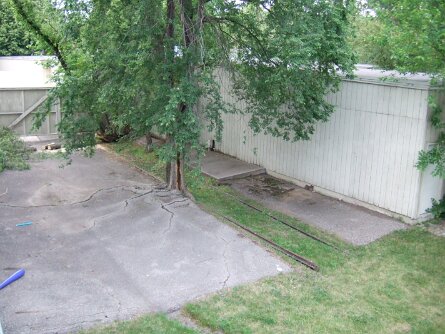 20060611_164755 null
