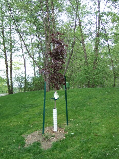 20060514_122003 null