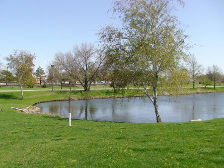 20080503_150848 null