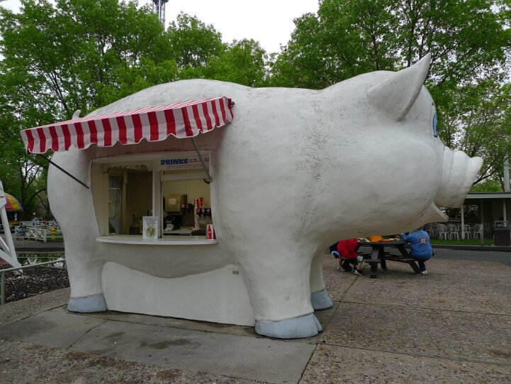 PetuniaPig