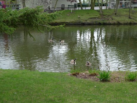 20100424_144236 null