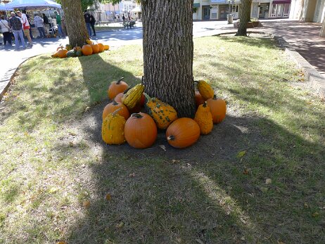 20151003_111743 null