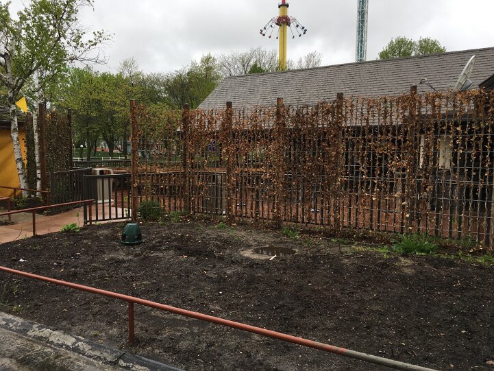 BierGarten