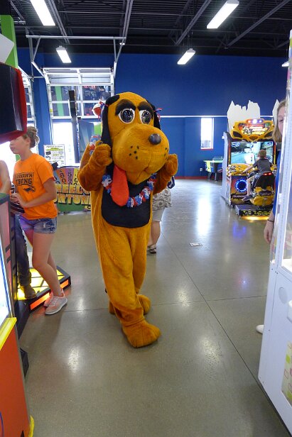 20160704_164619 null