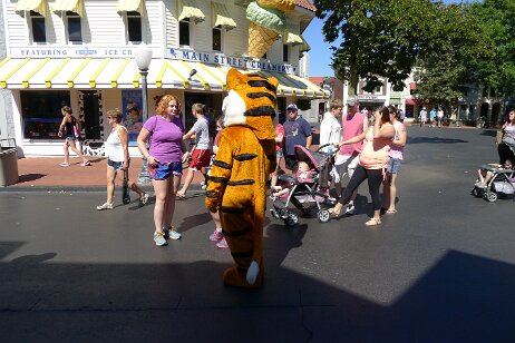 20160813_110353 null