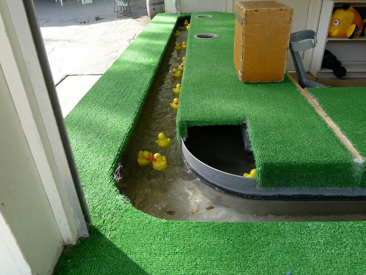 DuckPond