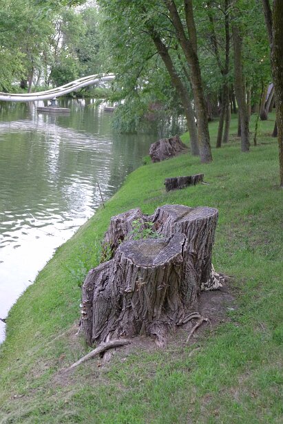 20160715_200356 null