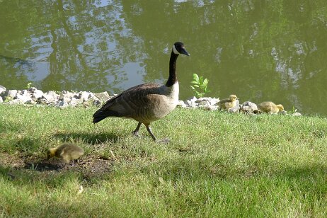 20160527_173522 null